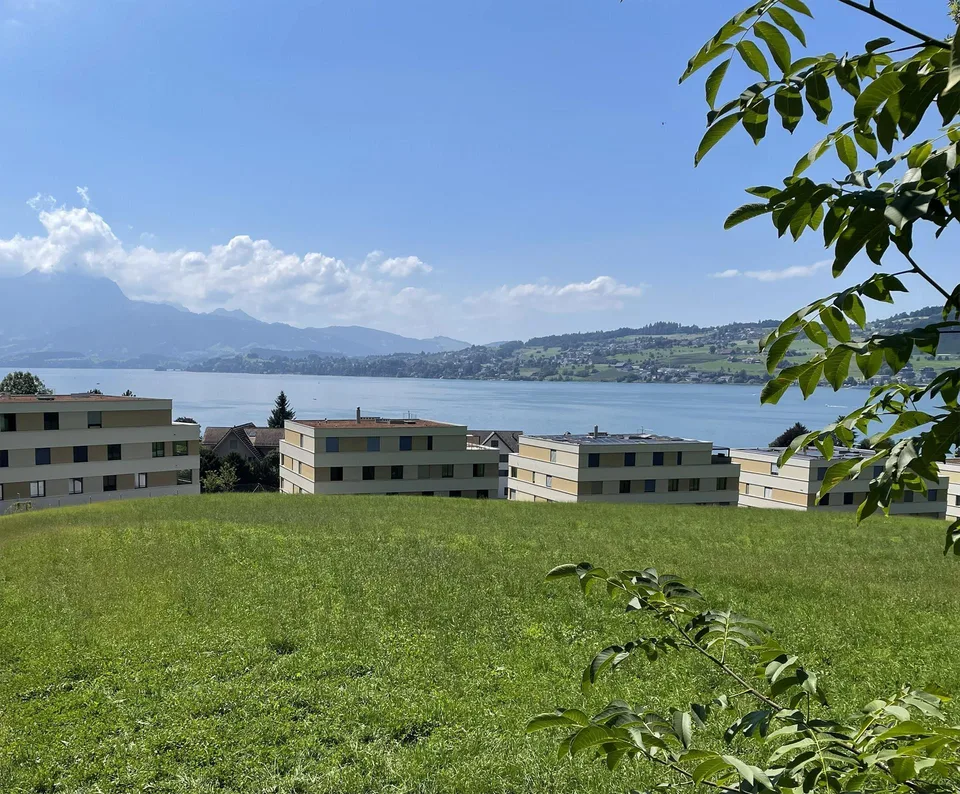 Maisons unifamiliales exclusives de 5,5 pièces (DEFH) - Steinmatt am Rubibach