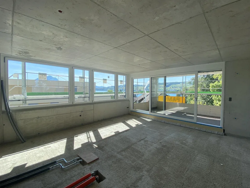 Maisons unifamiliales exclusives de 5,5 pièces (DEFH) - Steinmatt am Rubibach
