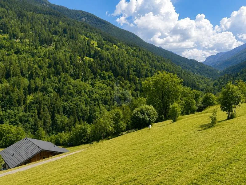 MAGNIFIQUE TERRAIN DANS UN CADRE NATUREL