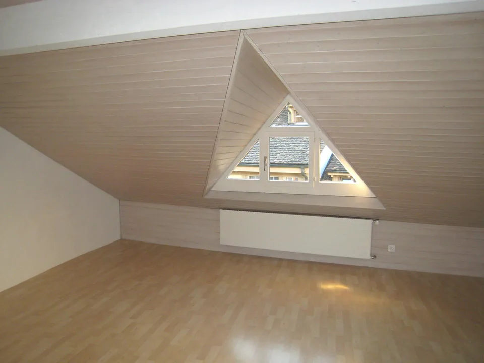 4.5 Zimmerwohnung in Schaffhausen