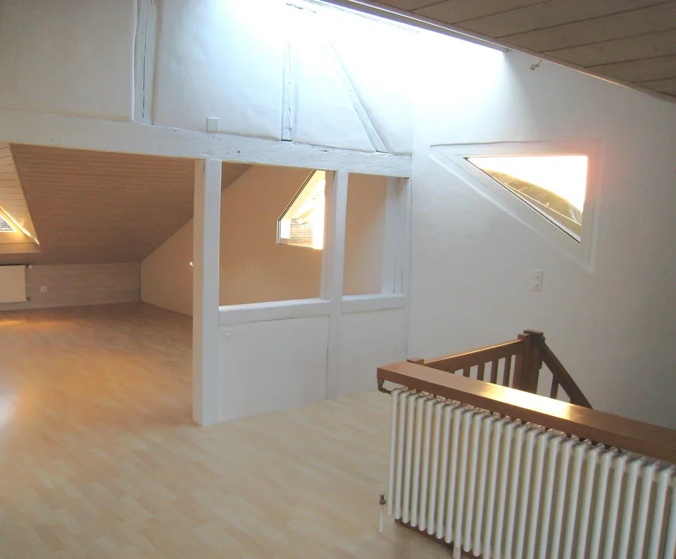 4.5 Zimmerwohnung in Schaffhausen