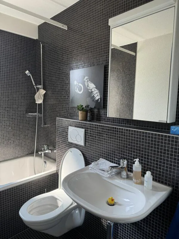 Lichtdurchflutete 4.5-Zimmerwohnung an zentraler Lage in Ebikon
