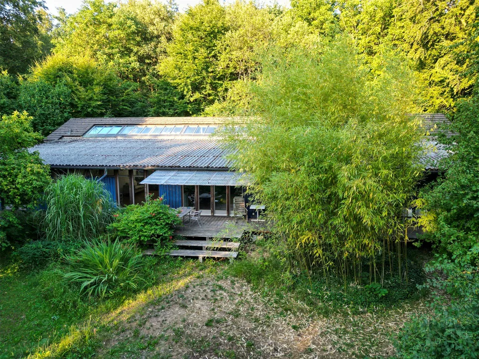 Deine 300 m² Oase für kreatives Schaffen im Fischermätteli
