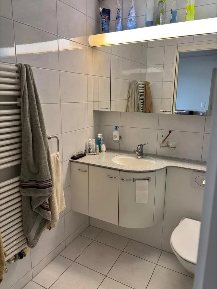 Appartement 2 pièces à proximité de la gare de Thalwil à louer