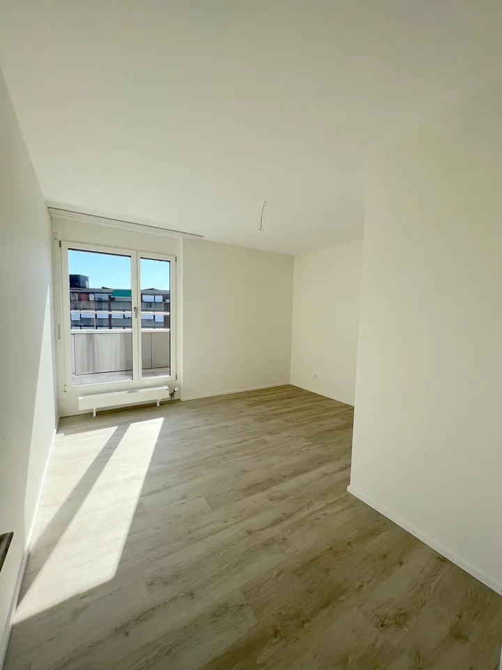 sonnige 4 1/2-Zimmer-Attikawohnung - St. Johannquartier