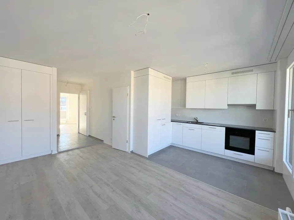 sonnige 4 1/2-Zimmer-Attikawohnung - St. Johannquartier