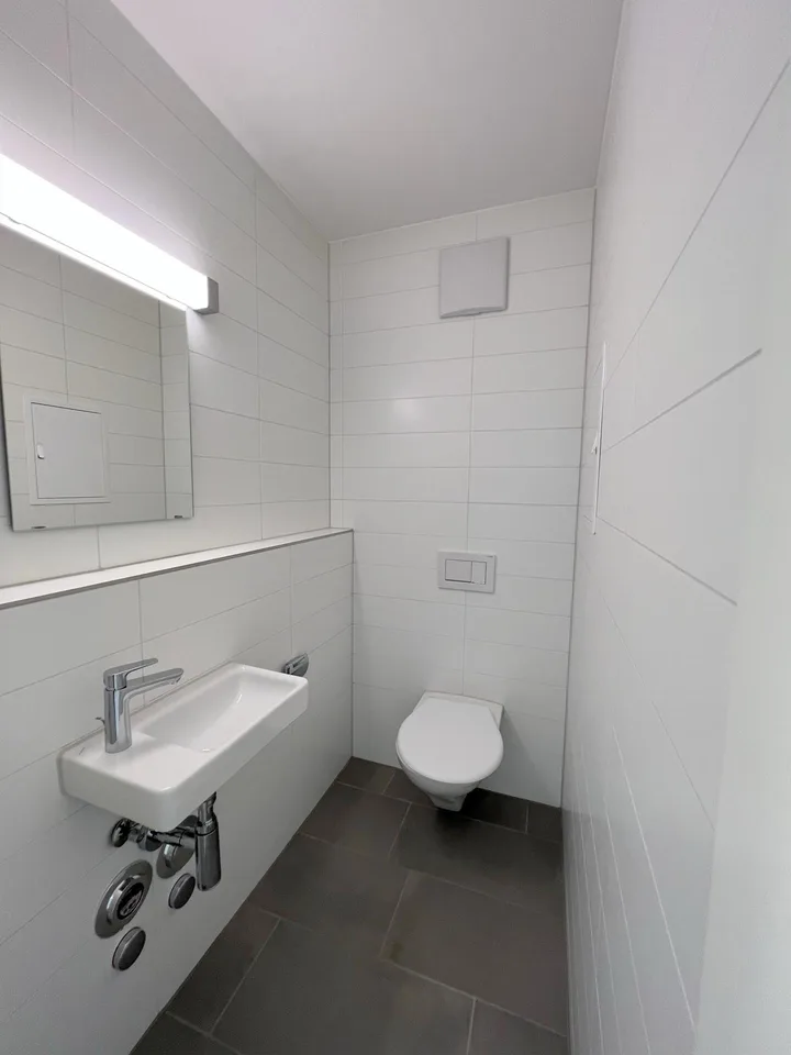 sonnige 4 1/2-Zimmer-Attikawohnung - St. Johannquartier