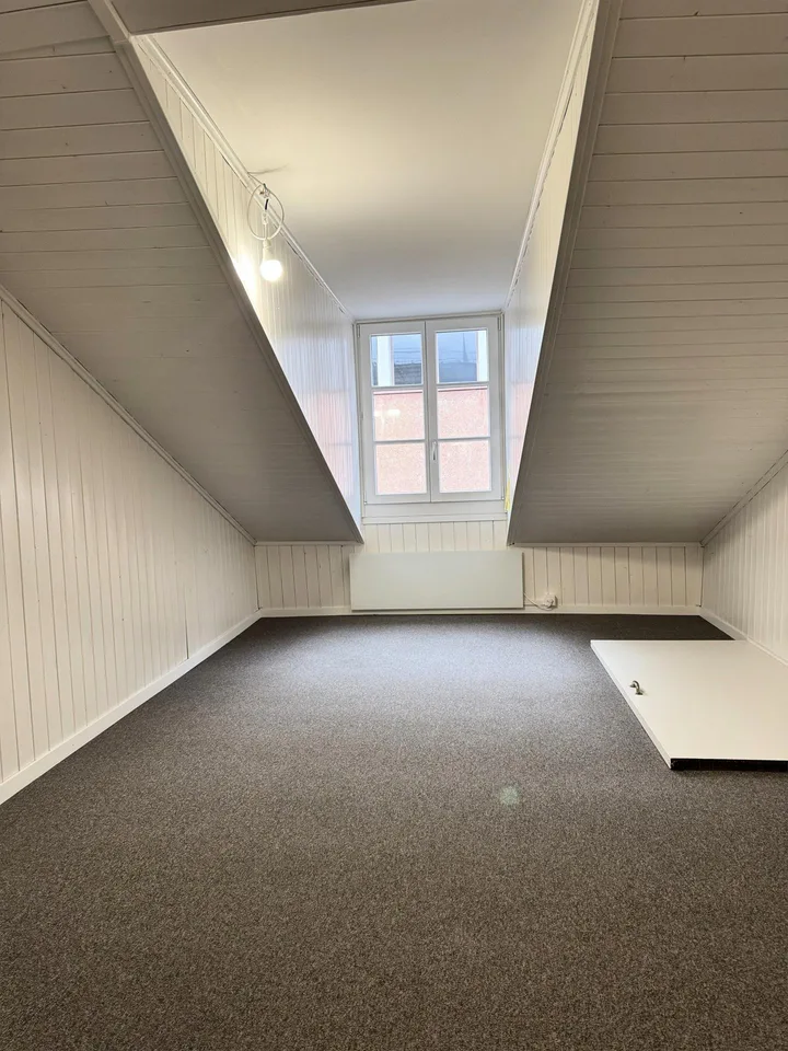 Charmante 5.5- Zimmer- Duplex Wohnung im Herzen von Luzern