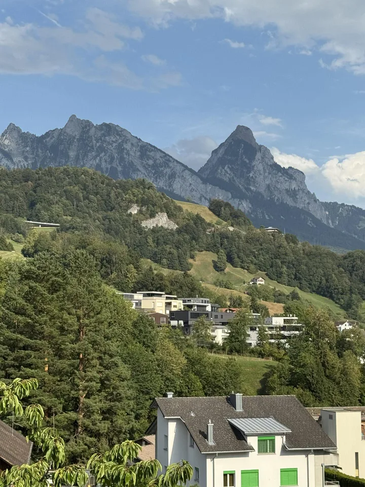 Wunderschöne 3.5- Zimmerwohnung