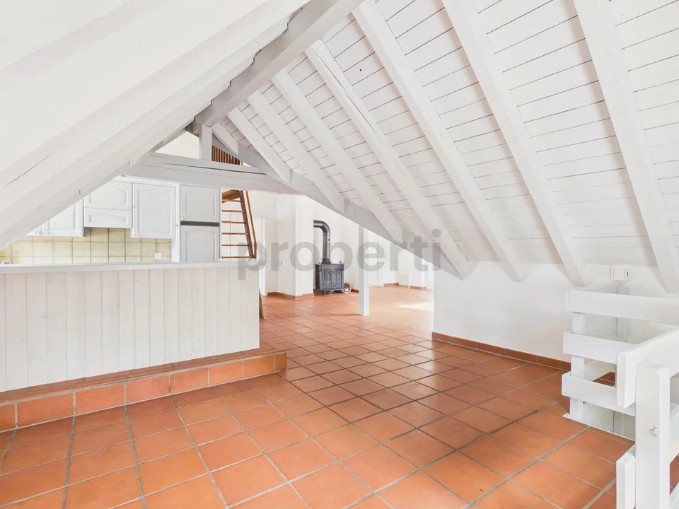 Cozy 4.5-room attic apartment with balcony in Beringen
