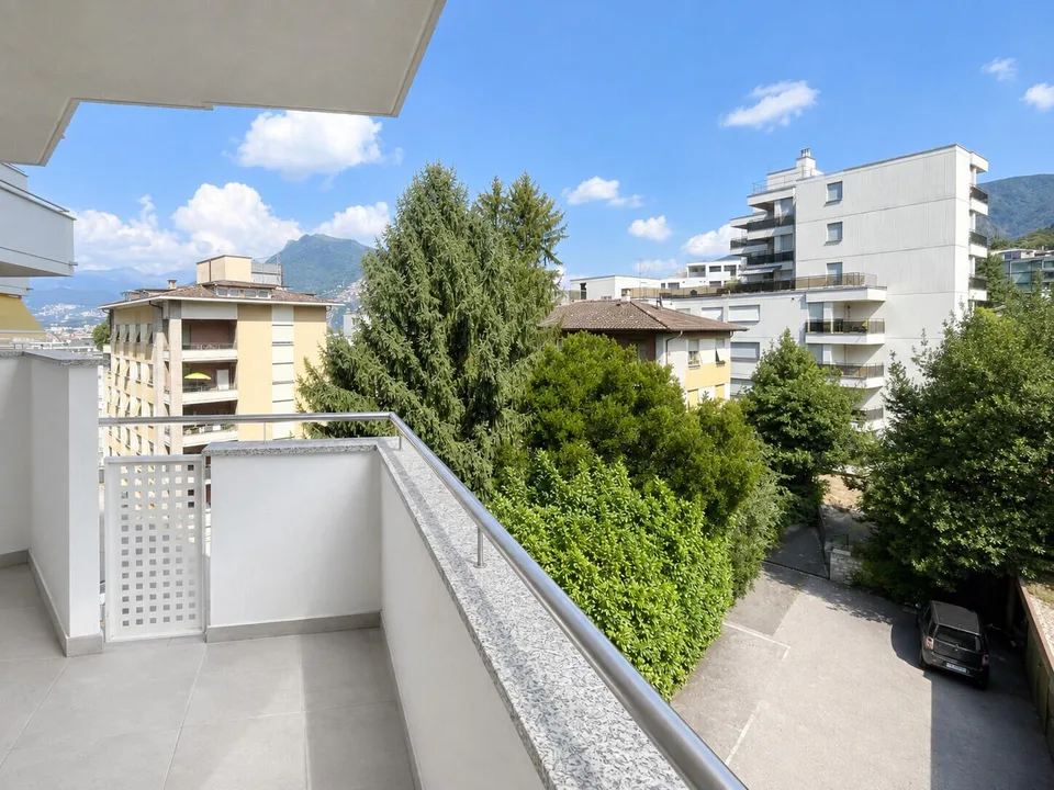 APPARTEMENT MODERNE 2.5 PIÈCES AVEC TERRASSE CONFORTABLE À PARADISO