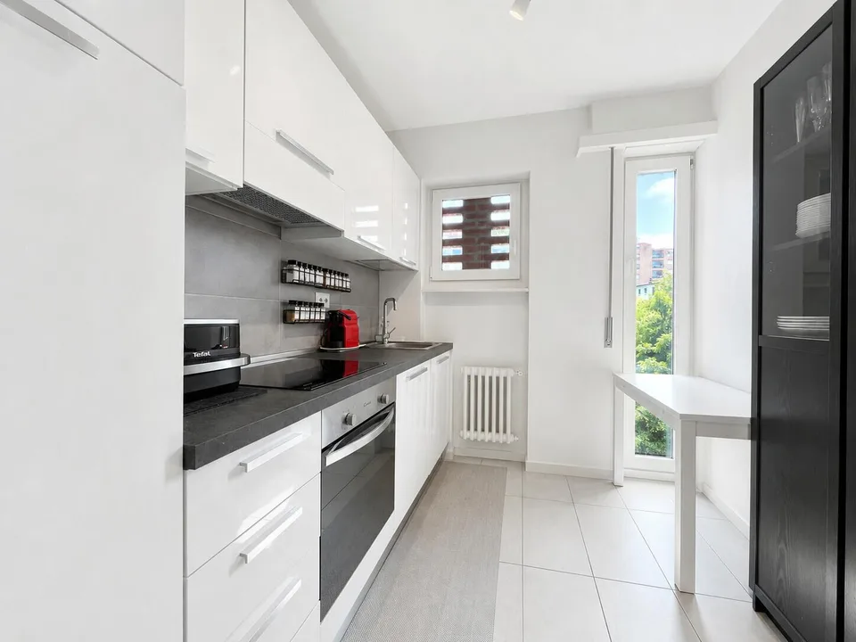 APPARTEMENT MODERNE 2.5 PIÈCES AVEC TERRASSE CONFORTABLE À PARADISO