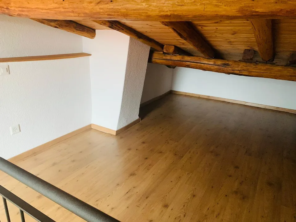 3 Zimmer renoviert mit Blick in Sonvico