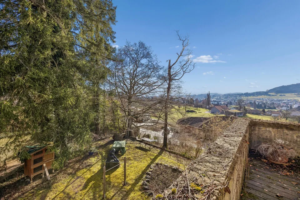 Villa Art Nouveau à Reinach avec un jardin de parc exceptionnel