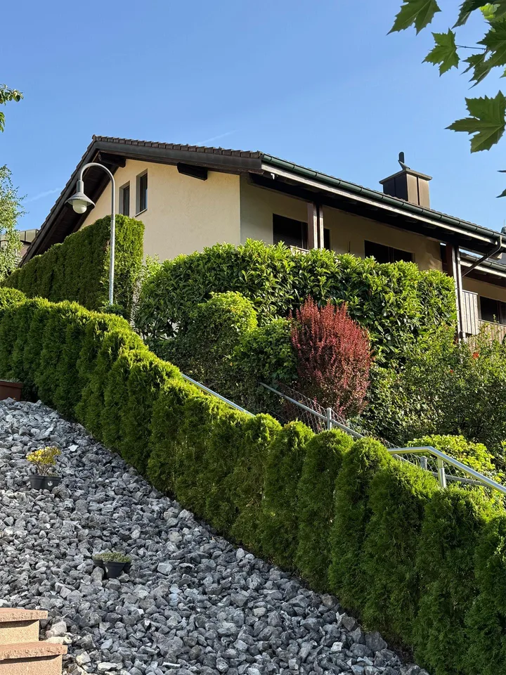 5.5-Zimmer-Reiheneckhaus mit Garten in Adligenswil mieten