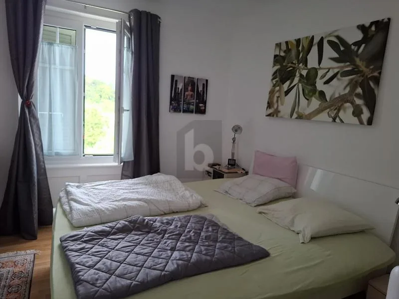 ESPACE ET VERDURE