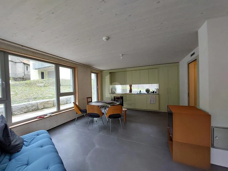 ALPINE ÄSTHETIK - MODERN INTERPRETIERT