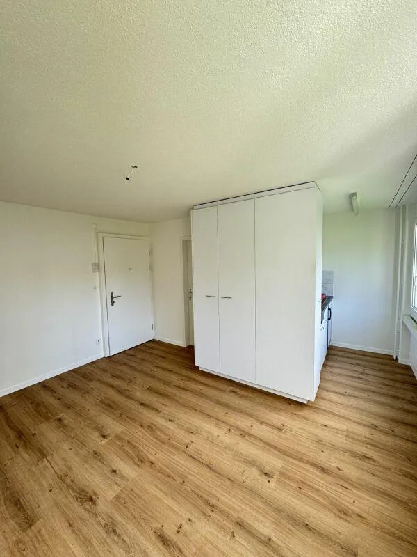 Kompakte 1.5-Zimmerwohnung mit optimaler Anbindung