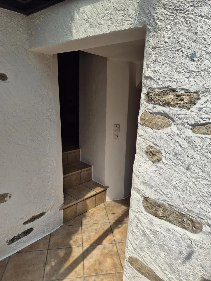 Rarität: Rustico mit Garage in Brione sopra Minusio