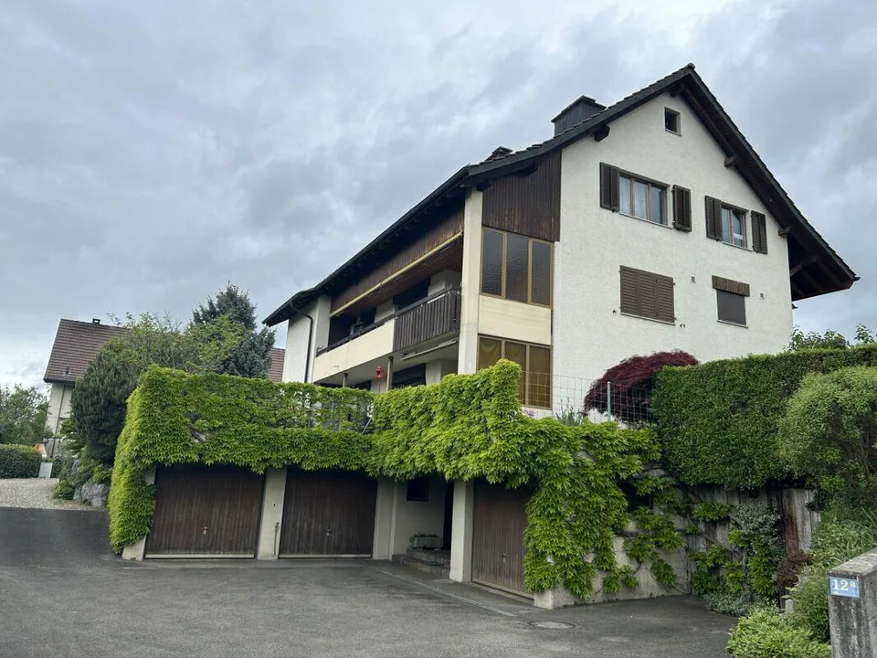 Urchige 4.5 Zimmer Wohnung in Uster