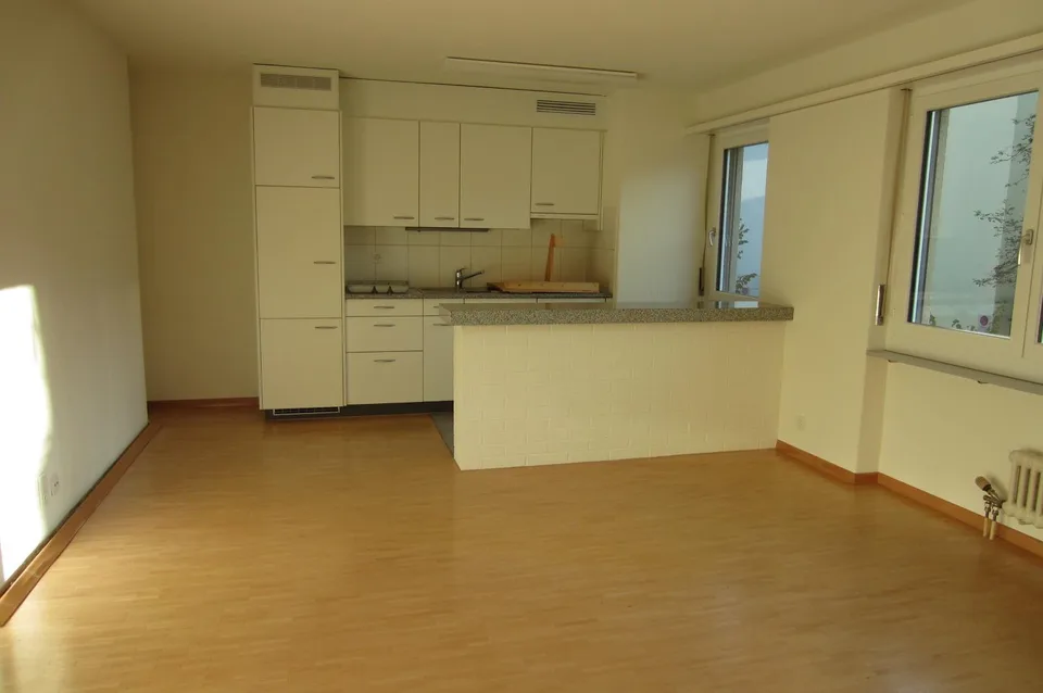 1.0 room apartment in Winterthur