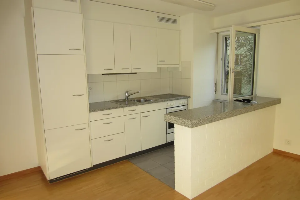 1.0 room apartment in Winterthur