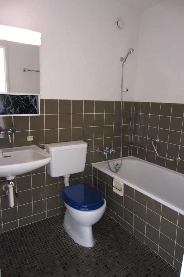 1.0 room apartment in Winterthur