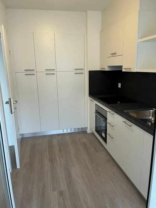0100, Mendrisio, Via Borromini 19, appartamento 341