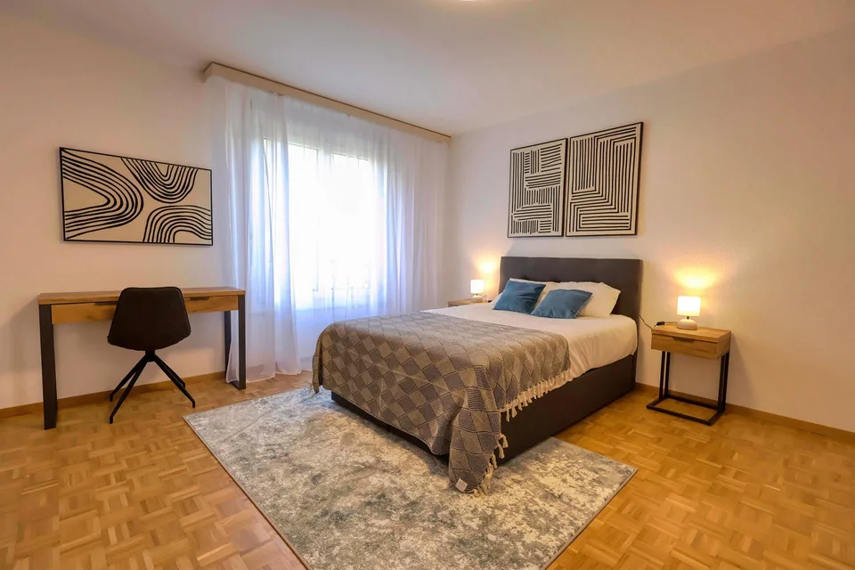 Confort et Communauté en Coliving au Cœur de Genève
