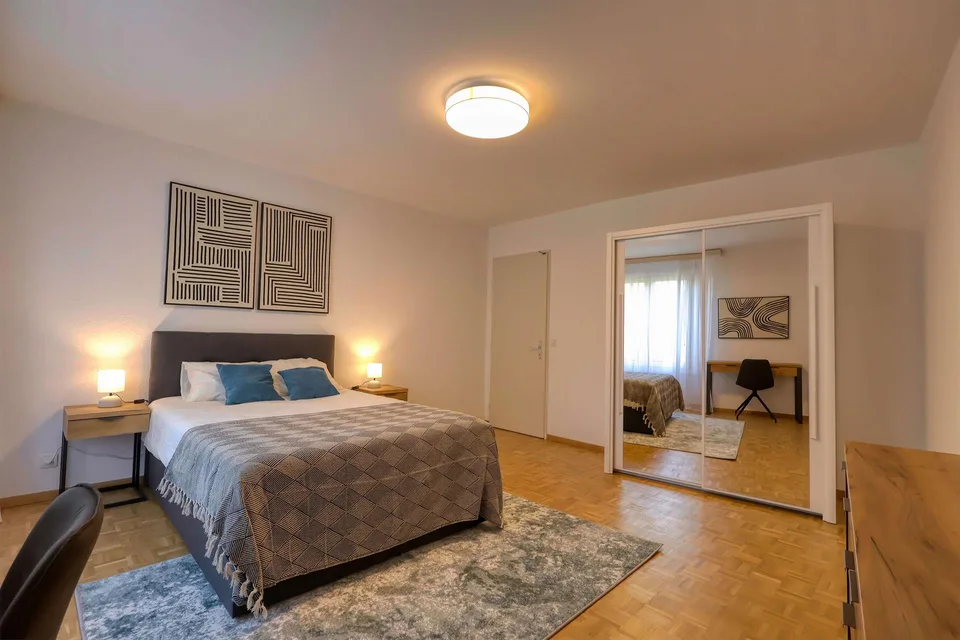Confort et Communauté en Coliving au Cœur de Genève