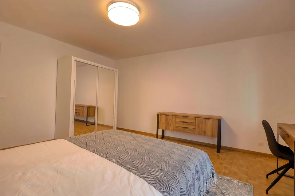 Confort et Communauté en Coliving au Cœur de Genève