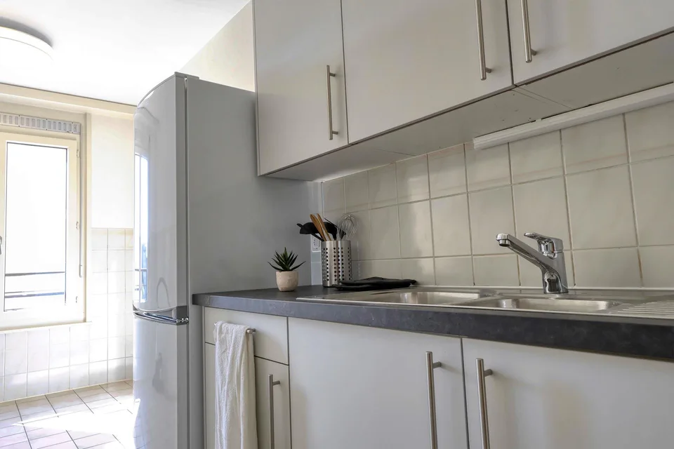 Confort et Communauté en Coliving au Cœur de Genève