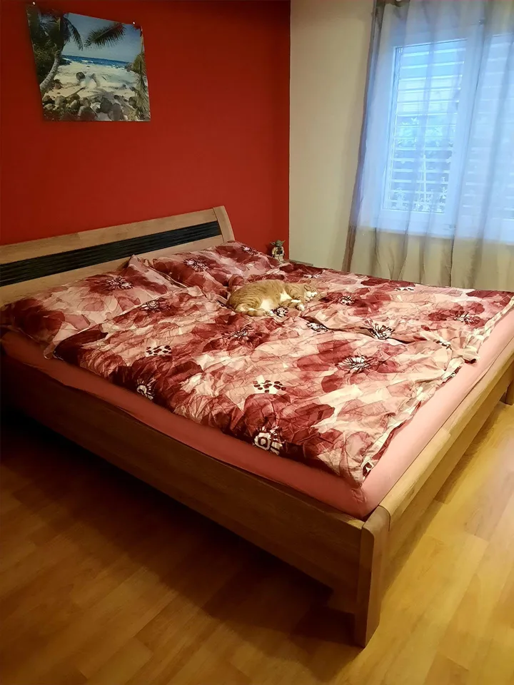 4 1/2 Zimmer-Parterrewohnung