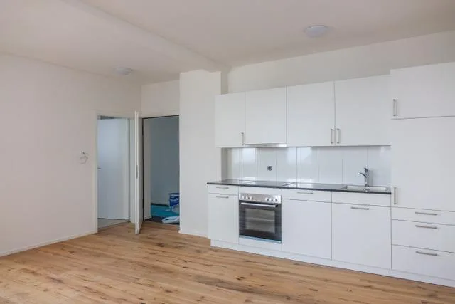 Sanierte 1.5-Zimmer Wohnung im Riethüsliquartier