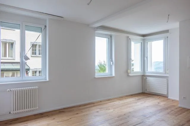 Sanierte 1.5-Zimmer Wohnung im Riethüsliquartier