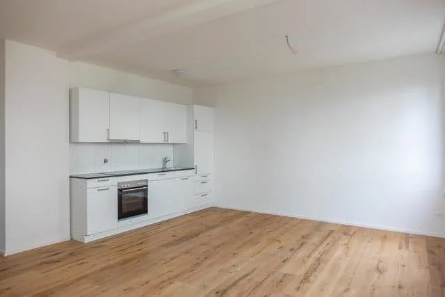 Sanierte 1.5-Zimmer Wohnung im Riethüsliquartier