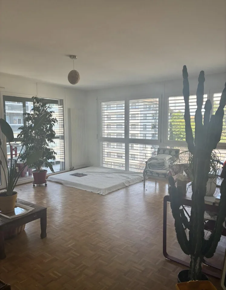 Appartement lumineux de 5 pièces situé Rue Daubin 22, 1203 Genève