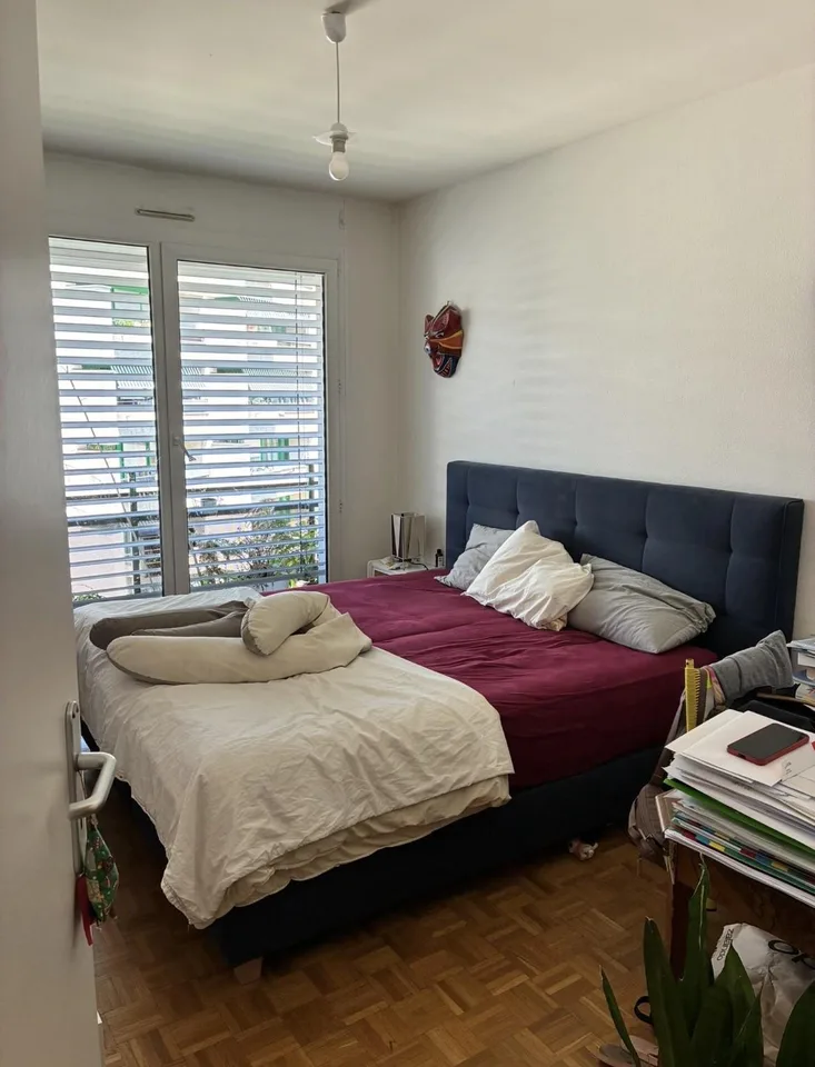 Bright 5-room apartment located at Rue Daubin 22, 1203 Geneva