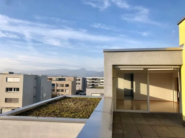 4.5-Zimmer Attikawohnung mit grosser Terrasse