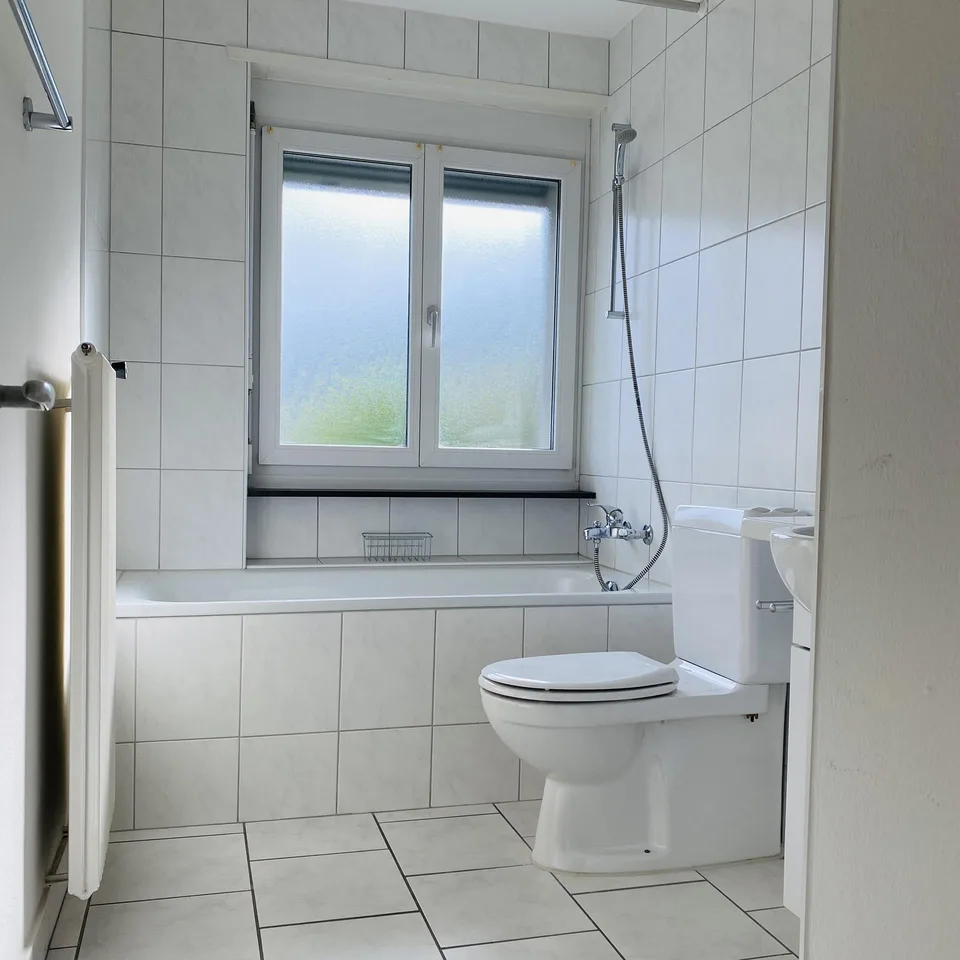 3-Zimmerwohnung