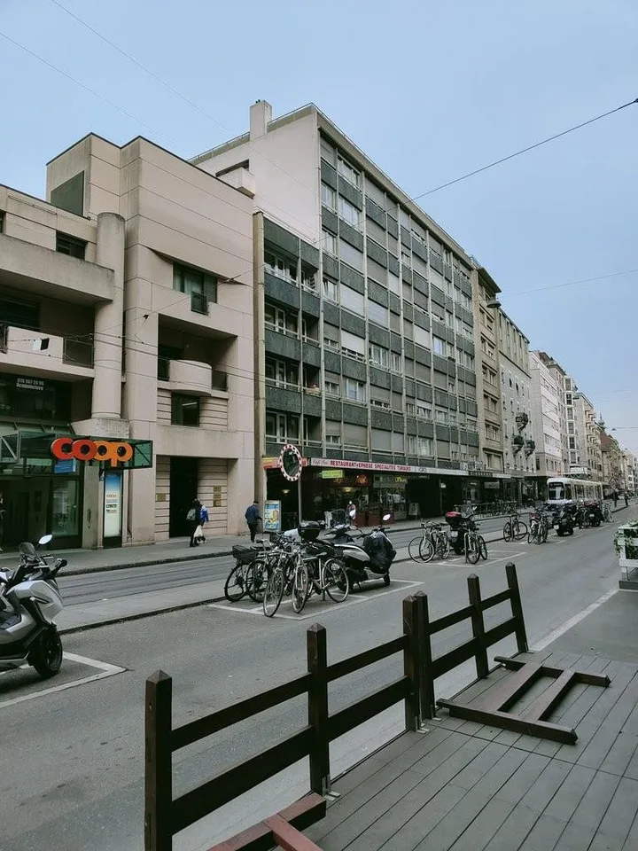 A saisir ! Magnifique duplex au coeur de genève !