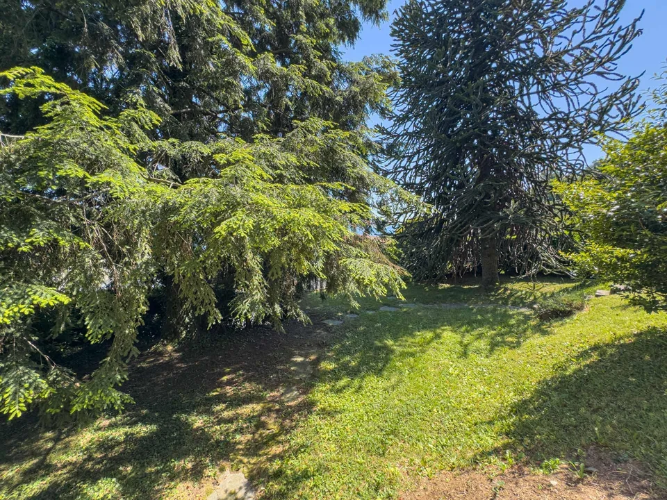 Villa con giardino e vista aperta sul golfo di Lugano a Carona