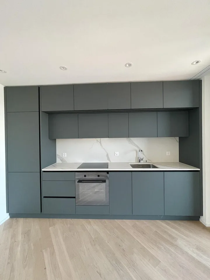 Habiter avec style à Horgen - Appartement 1 pièce en location dans un emplacement idéal !