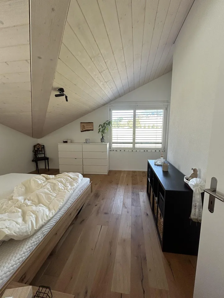 Moderne Dachwohnung mit Blick ins Grüne