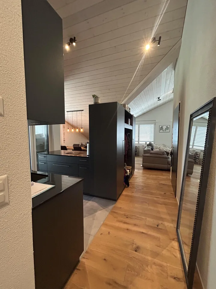 Moderne Dachwohnung mit Blick ins Grüne