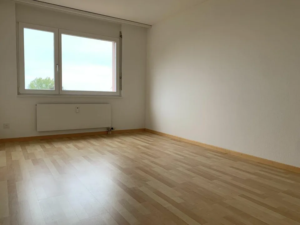 Helle und grosszügige 4 1/2 Zimmer Wohnung mit Seesicht