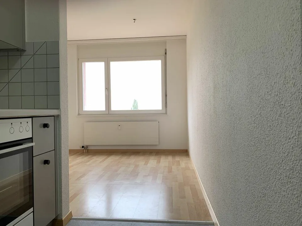 Helle und grosszügige 4 1/2 Zimmer Wohnung mit Seesicht