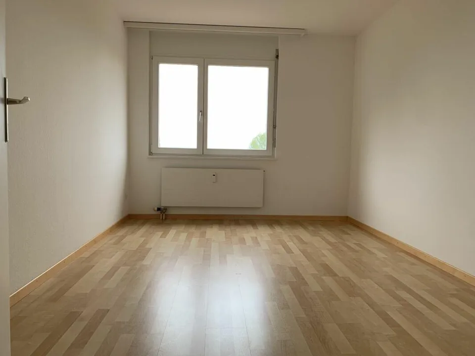 Helle und grosszügige 4 1/2 Zimmer Wohnung mit Seesicht