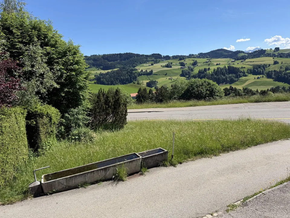 Historisches Appenzellerhaus in Wald AR "Weberei"