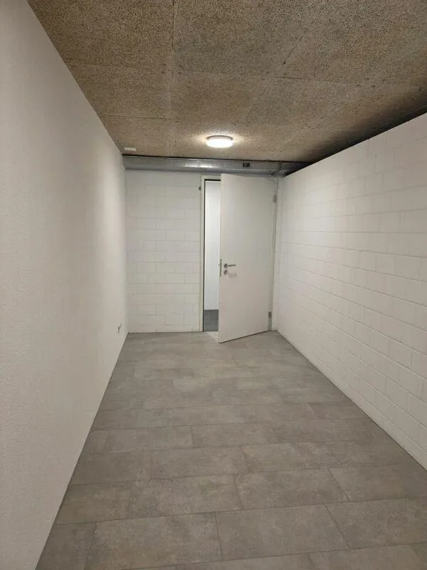 Vendesi cantine in residenza di alto standing a Minusio